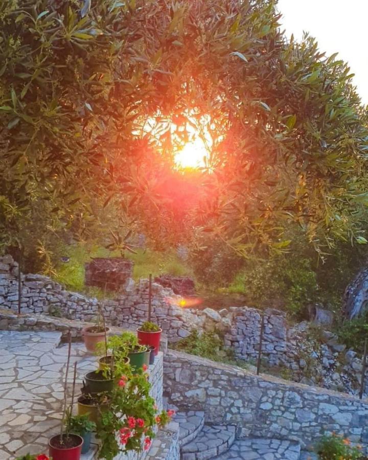 Villa Raxi Fountana Zewnętrze zdjęcie